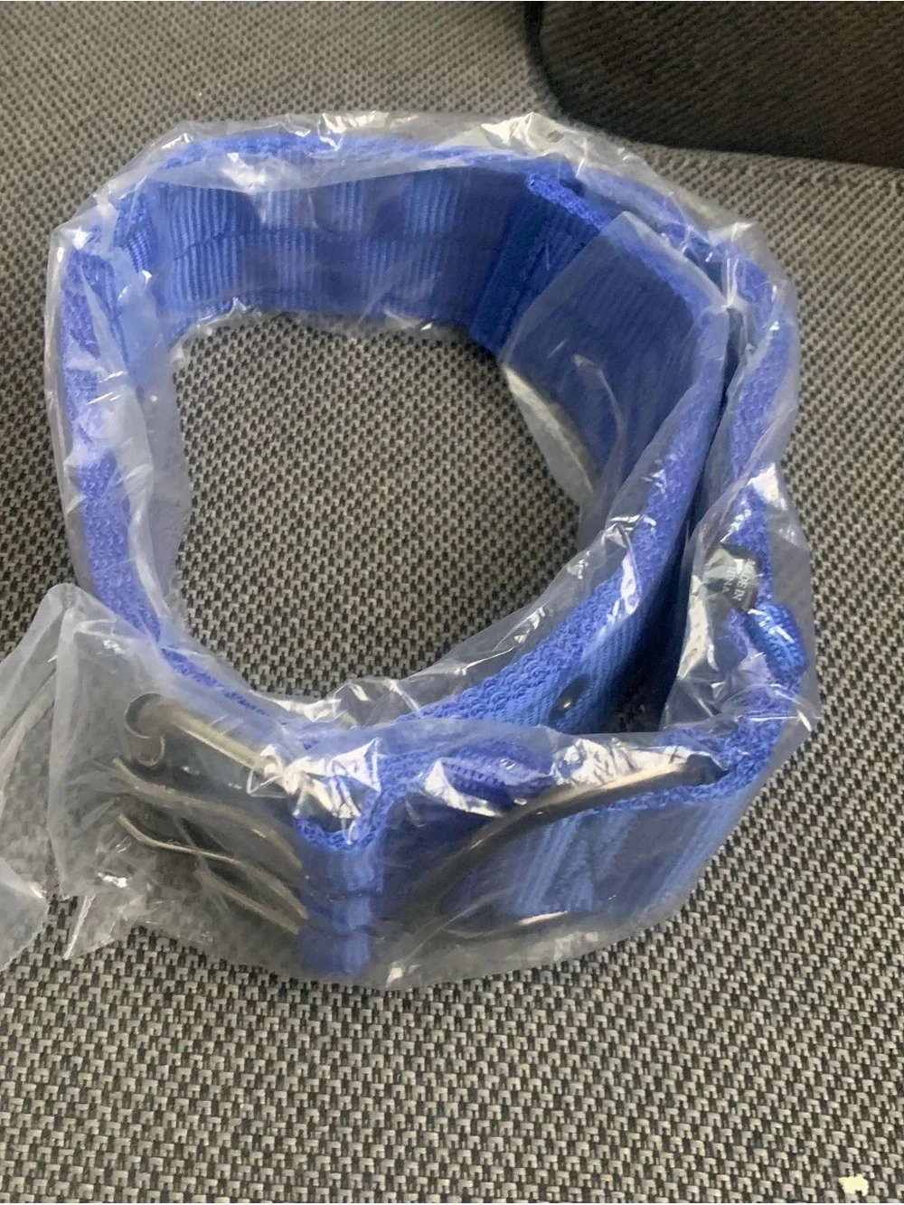Royal blue dog collar